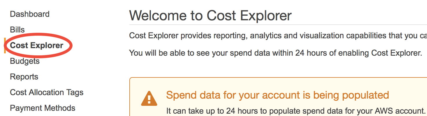 ../_images/cost-explorer.png